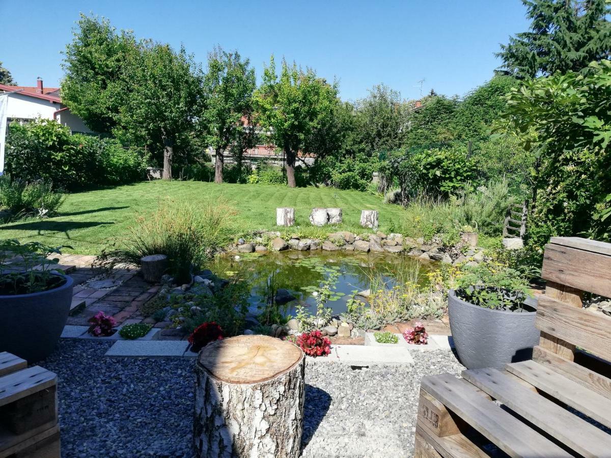 Studio Apartments Korosteljev Осиек Экстерьер фото